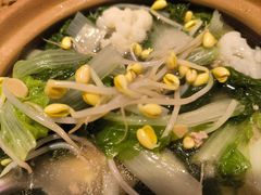 -陈鹏鹏潮汕菜(宝安机场T3航站楼店)