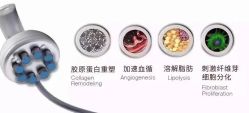 -贝黎诗SPA