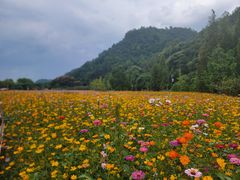 -贵阳市花溪国家城市湿地公园
