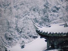 -瓦屋山景区