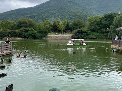 -无锡动物园·太湖欢乐园