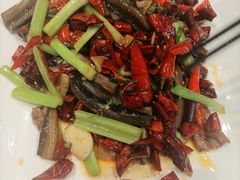 -院8里·少城记忆老川菜(宽窄巷子店)