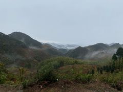 -四明山国家森林公园