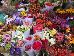 -三圣花乡旅游区