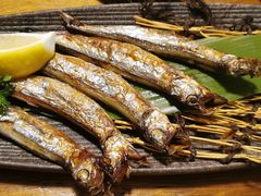 -河风の幸会精致料理