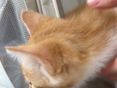 -美联众合动物医院·24h京西诊疗中心