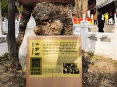 -潭柘寺景区