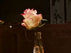 -马仕玖煲·融合菜·酥不腻烤鸭(人大店)