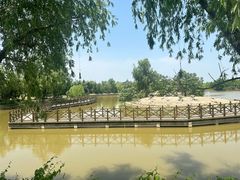 -盐城丹顶鹤湿地生态旅游区