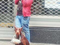 -布鲁塞尔大广场