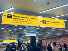 -谢列梅捷沃国际机场