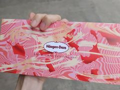 -哈根达斯(扬州瘦西湖店)
