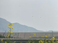 -光明小镇欢乐田园