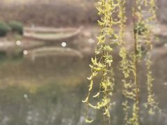 -棒棰岛宾馆景区