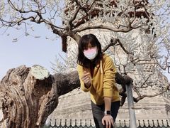 -玲珑塔公园
