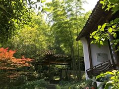 景观位-嘉龙茶庄