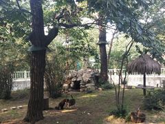 -西安秦岭野生动物园