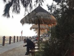 -北海金海湾红树林生态旅游区