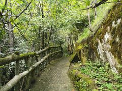 -神农架香溪源景区