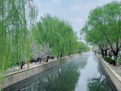 -元大都城垣遗址公园