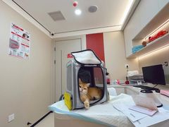 -御宝贝24h宠物医院·转诊中心·CT核磁血透中心(厦门总院)