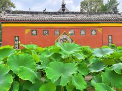-宝光寺