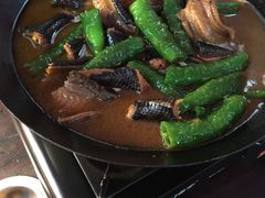 -不炭白烧烤(成都首店)