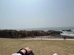 -小麦岛公园