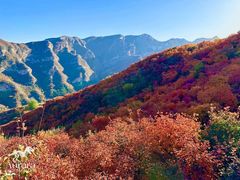 -周口店坡峰岭风景区