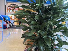 -天虹购物中心(石路店)