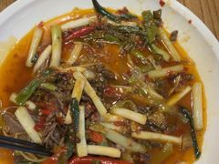 -九老汉·川渝江湖菜(合川路2店)