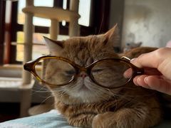 -爱派特动物医院·全科诊疗中心