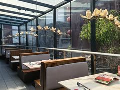 -唐猫庭院·千年陕菜(大唐不夜城店)