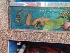 -蛇口市场