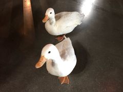 -昆明大悦城未来动物城(螺蛳湾中心店)