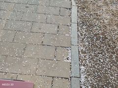 -牛街老爆肚满(牡丹园店)