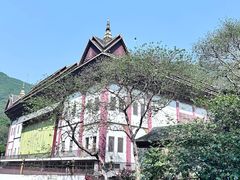 -西双版纳原始森林公园