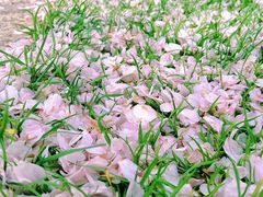 -上海辰山植物园