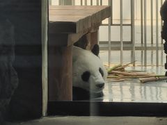 -石家庄市动物园