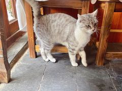 -小厨子私房菜·云南美食店