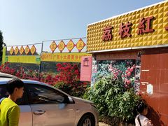 门面-荔枝红五号农庄