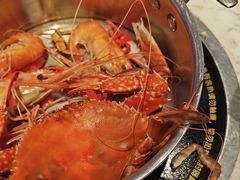 -半岛听涛蒸汽海鲜自助(K11店)