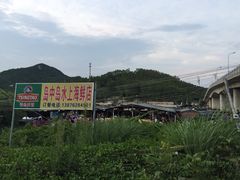 岛中岛渔排-岛中岛·海鲜大排档·万宁老字号(东澳店)