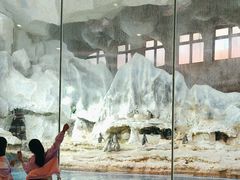 -帝企鹅自助餐厅•儿童岛•真企鹅(长隆企鹅酒店)