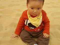 游乐设施-南宫五洲植物乐园