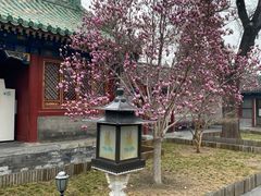 -恭王府博物馆