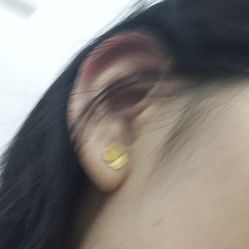 -花师傅