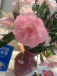 -Dr.林醫生产后修复·配方产康店(南京大厂店)