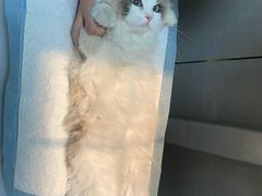 -关爱动物医院·心脏·中兽医·异宠(金牛路分院)