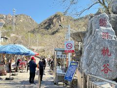 -大岭沟猕猴桃谷风景区